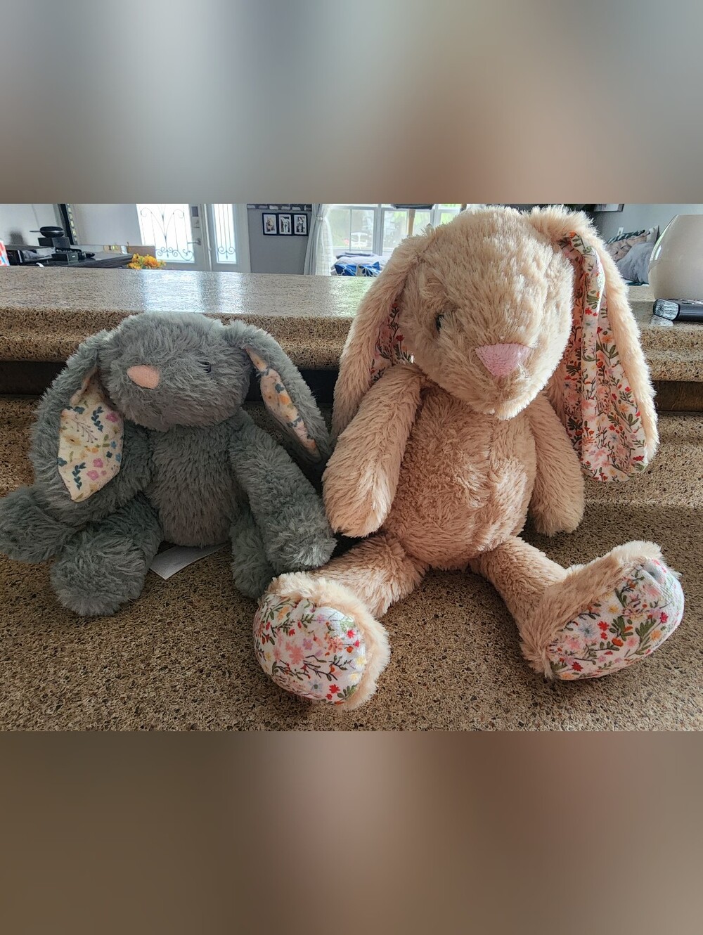 Toys/ Kids Plush Floral-Accent Bunny Stuffed Toy - Beige 10.5' & Dusty Blue 7"